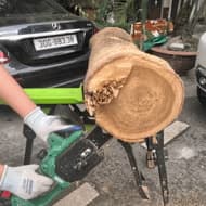 Máy cưa Workfix WF-CS12BL